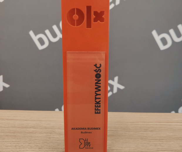 Budimex Academy wins main award in the “Efficiency” category
