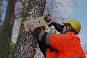 Budimex for nature: 20 nest boxes for birds in Lublin